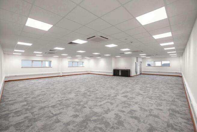 ground level images 9.jpg