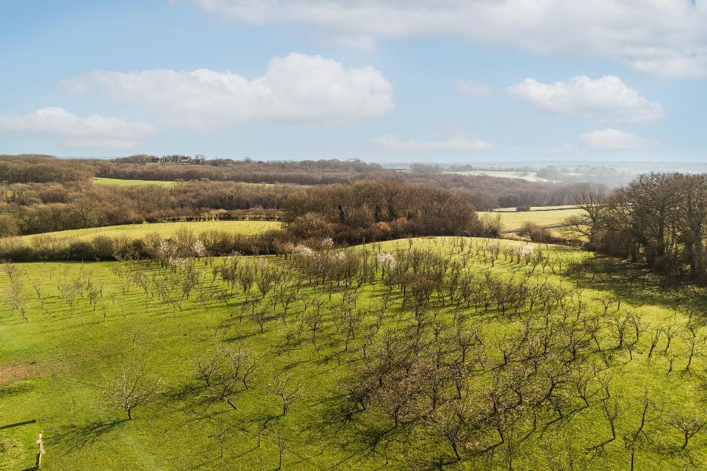 Main image of property: Cowbeech Road, Rushlake Green, Warbleton, East Sussex, TN21 9QA