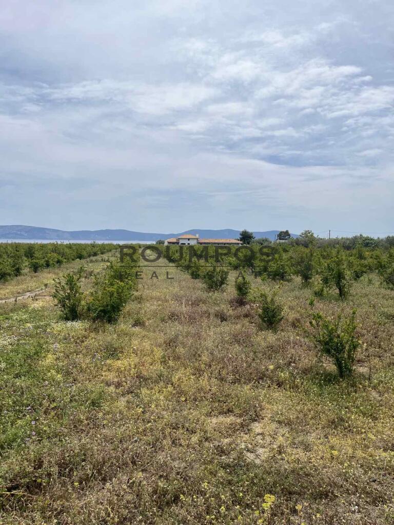 Main image of property: Peloponnese, Argolis, Ermioni