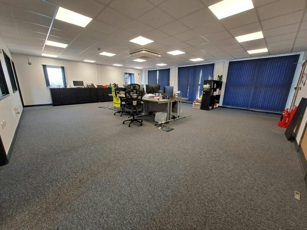 p5.jpg