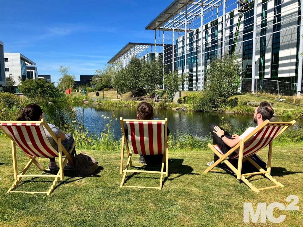 Deck Chairs.jpg