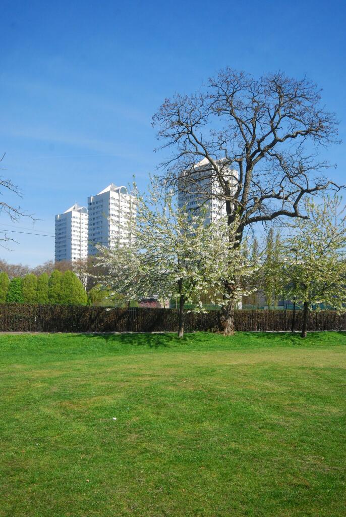 Apartment in London - More