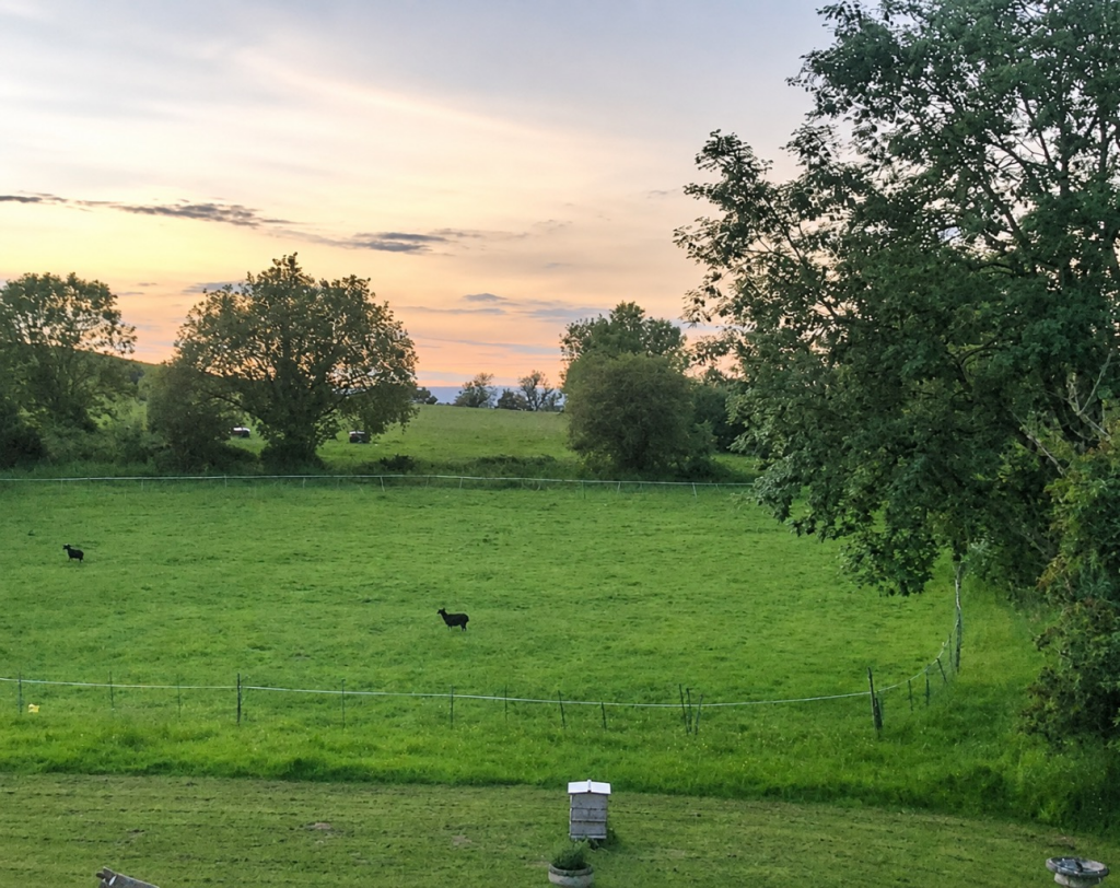 Main image of property: Discreet Listing, Baltonsborough