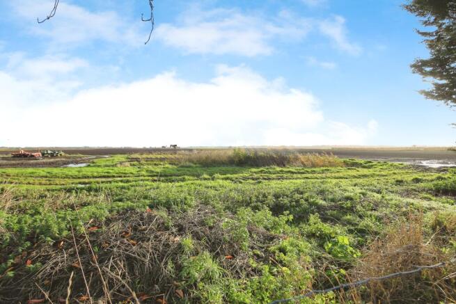 Field