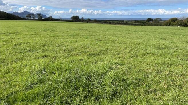 Lot 4 Pasture