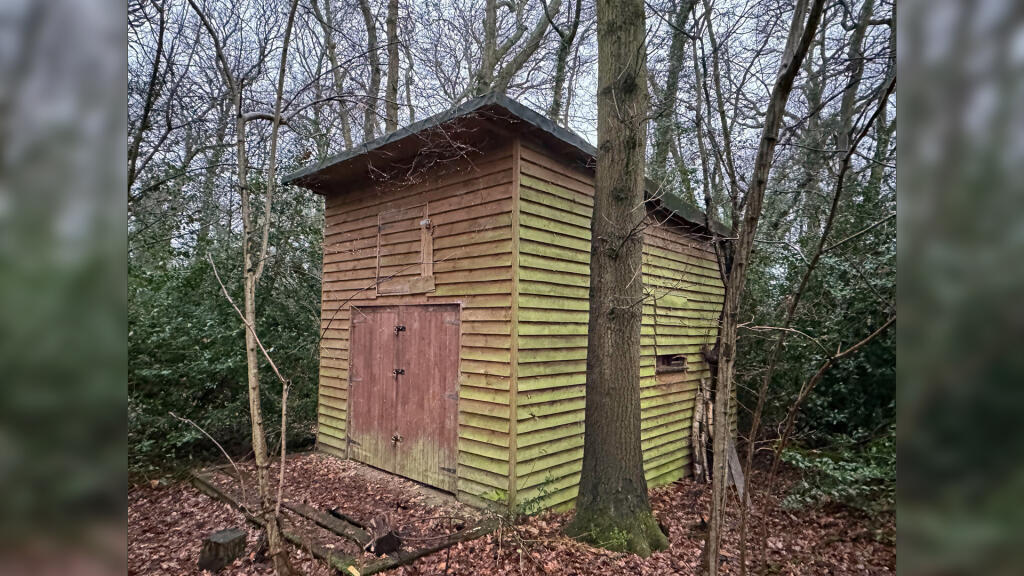 Wood store.