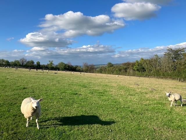 Land near Stockham Farm, Dulverton - View 4