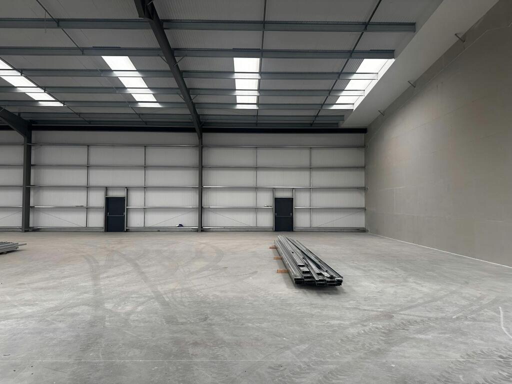 p7.jpg