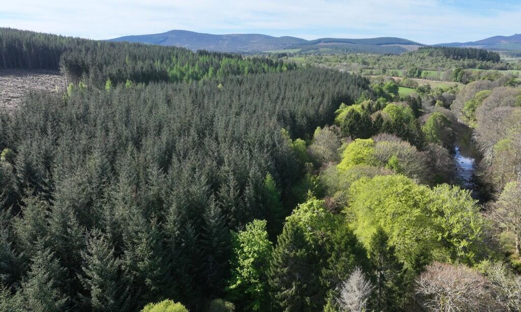 Main image of property: Affrusk Woodland, Banchory AB31