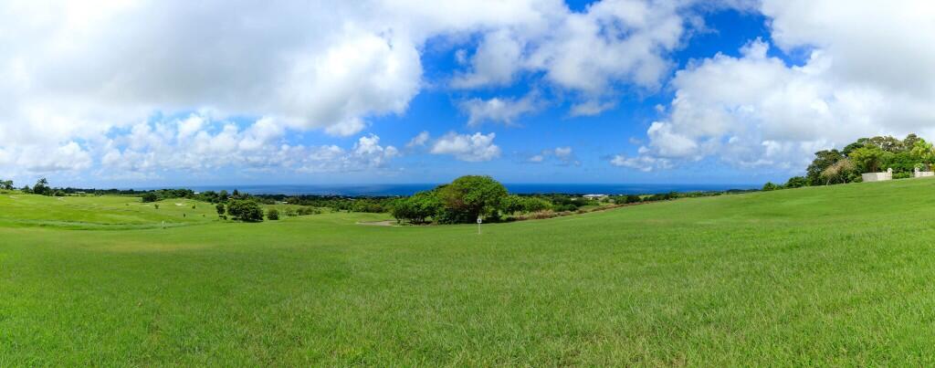 Main image of property: Apes Hill, St James