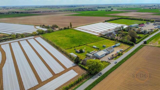 poplars -26.jpg