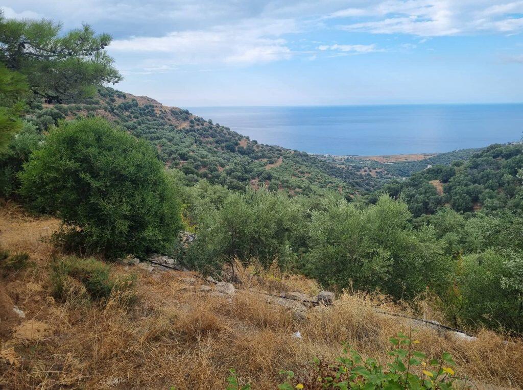 Main image of property: Crete, Lasithi, Sfaka