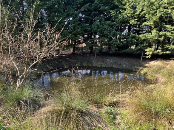 Wildlife Pond