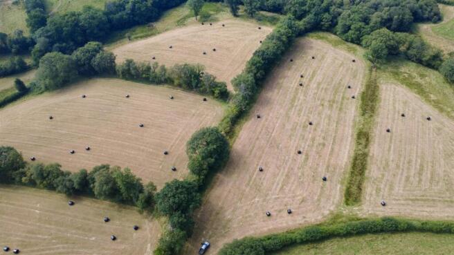 dji_fly_20260717_104140_628_1784281357993_photo_op