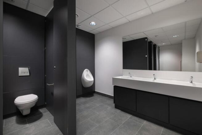 Toilet.jpg