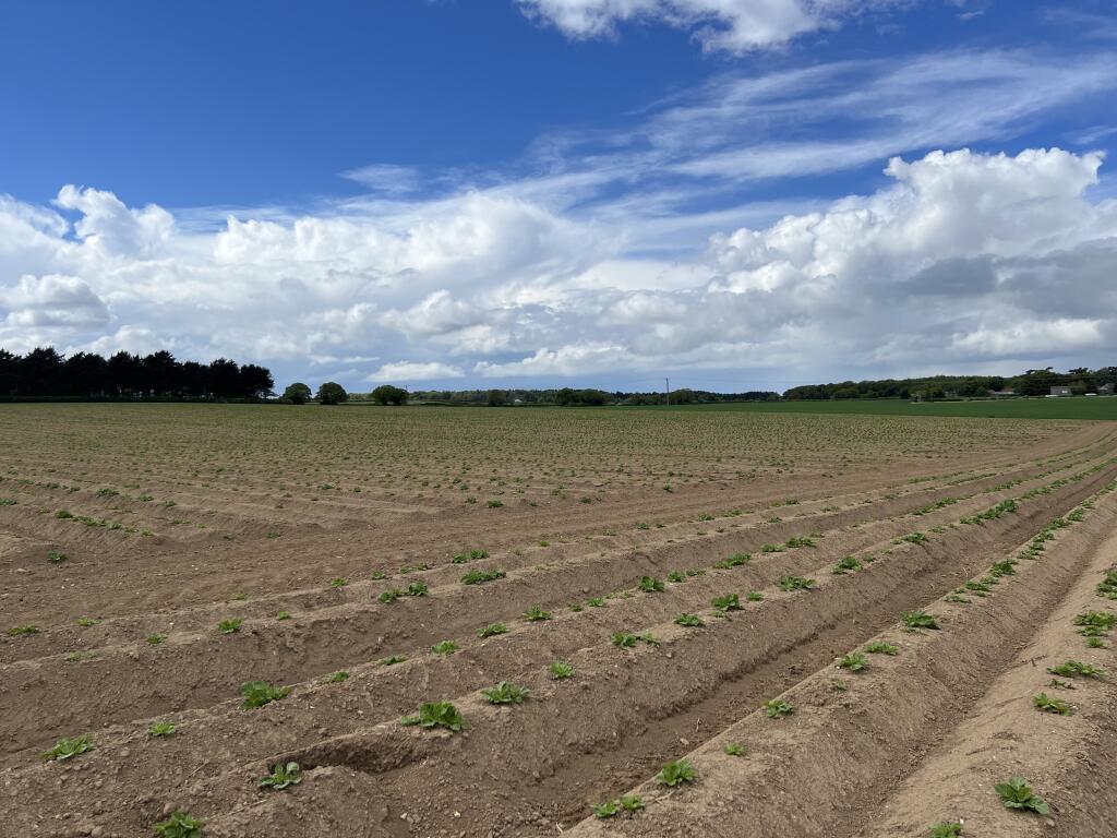 Main image of property: 18.13 acres of Arable Land, Aylmerton