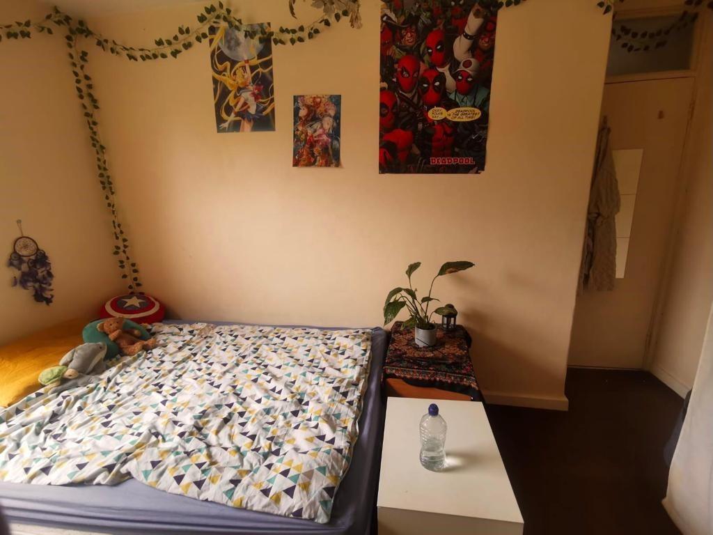 3 bedroom flat for rent
