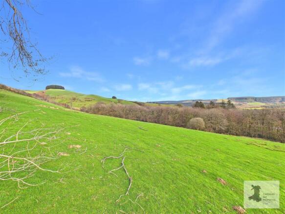 Field and views