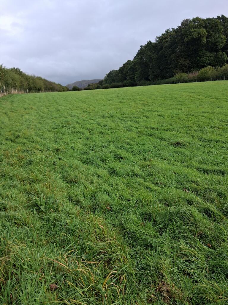 Main image of property: Land to the North of Holly Tree Cottage, Casterton, Kirkby Lonsdale, Westmorland And Furness