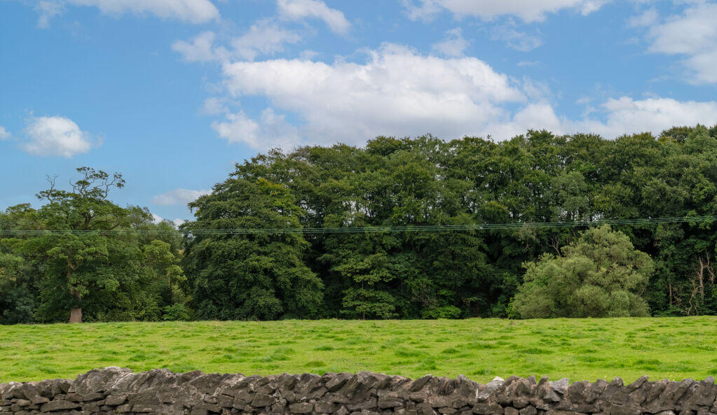 Additional image 15 of Sandholme Drive, Giggleswick, Settle, BD24