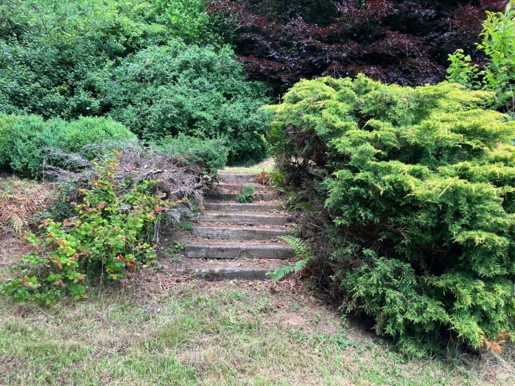 Additional image 29 of East Chinnock