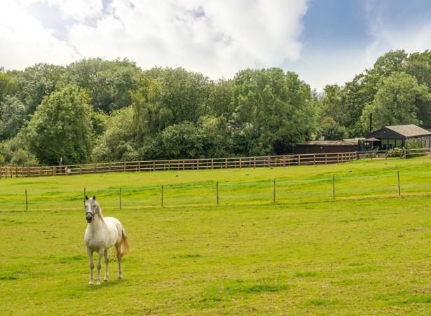 Main image of property: Village Way, Cranleigh