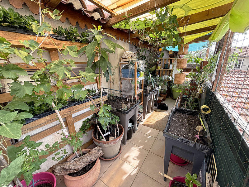 Main image of property: Town House + Apartment with Garage & Roof Terrace, Beziers, Herault, Languedoc-Roussillon