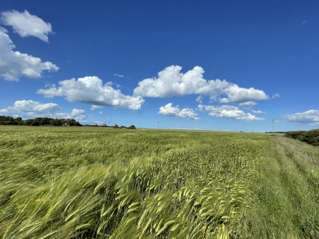 East Newton, Near Aldbrough - View 3