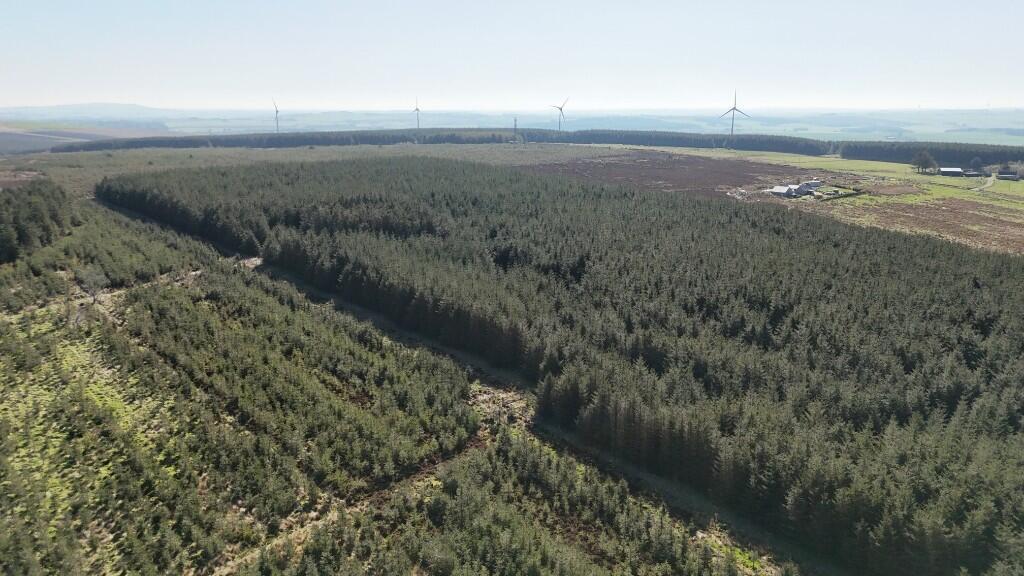Additional image 13 of Lot 1 Woodland at Broadmuir, Hill of Fisherie, Turriff, AB53 5QL