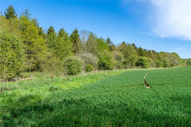Land