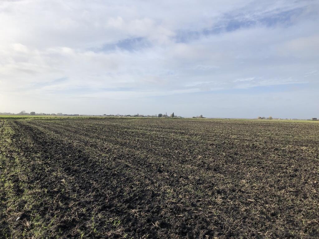 Main image of property: Land off Oilmills Road, Ramsey Mereside, Cambridgeshire, PE26 2TS