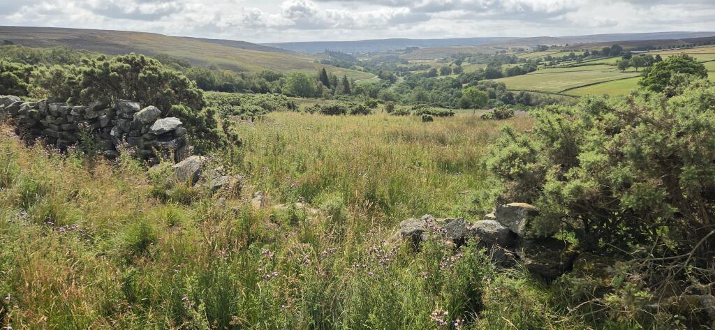 Land at Fowl Green Farm, Commondale, Whitby, North Yorkshire - View 5