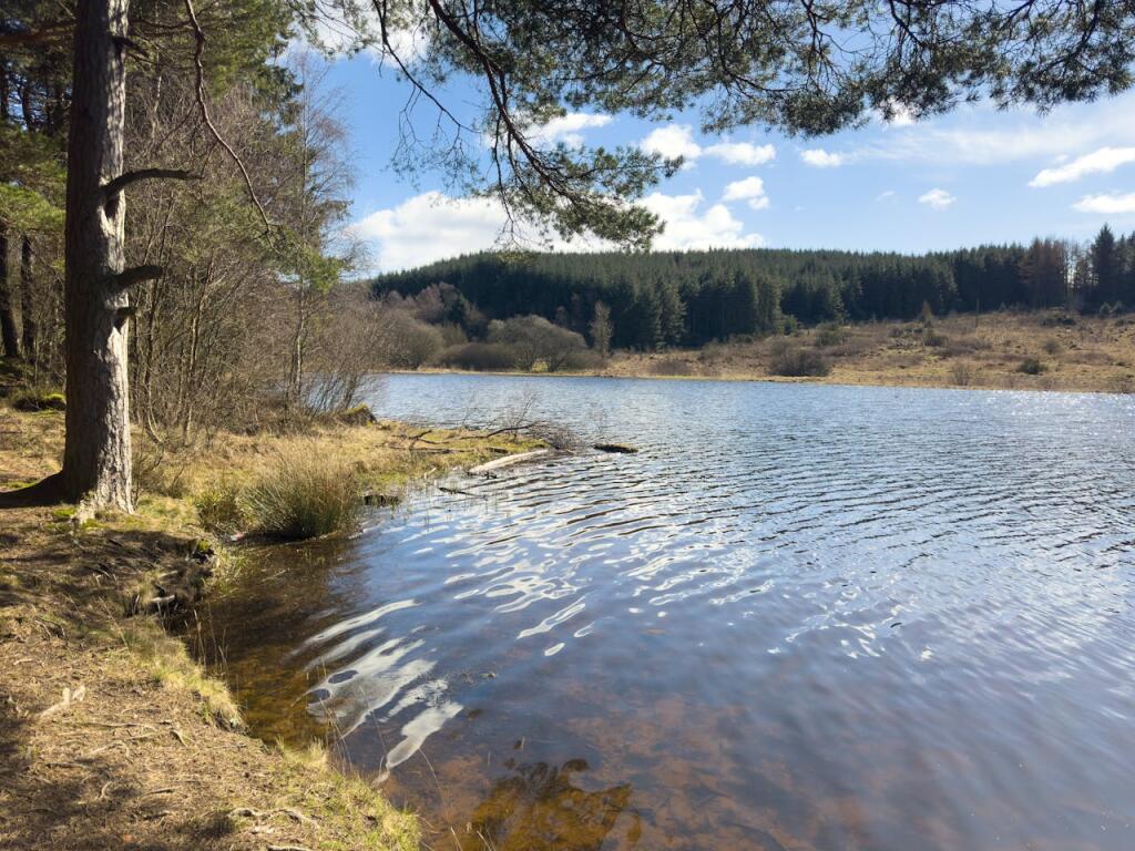 Main image of property: Lairds Loch, Coupar Angus, Blairgowrie, PH13 9LA