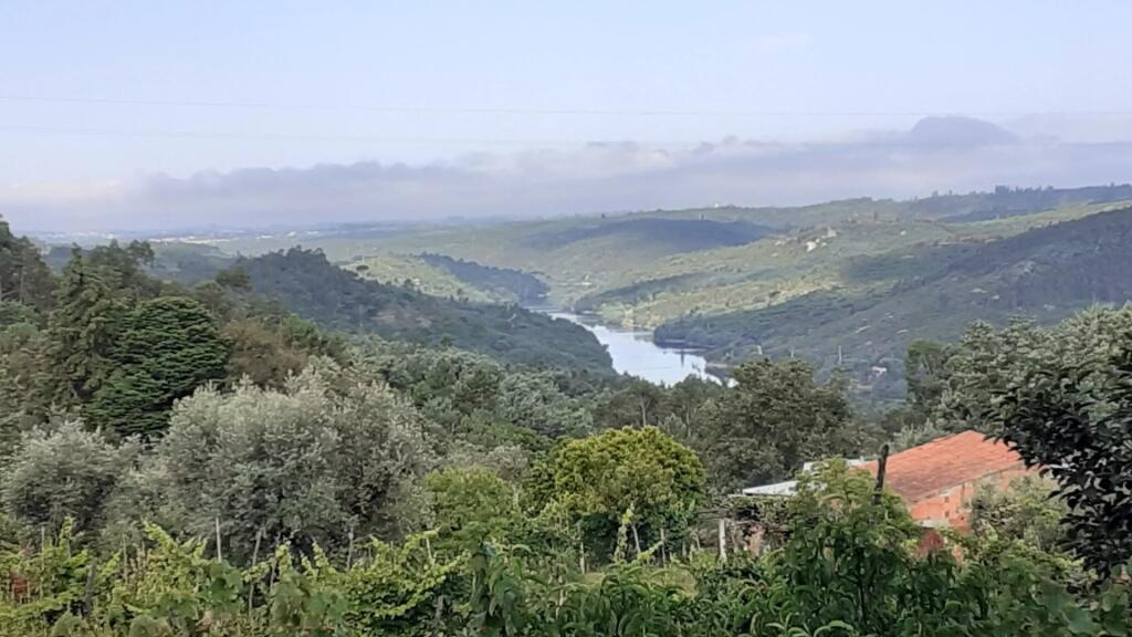 Main image of property: Portugal