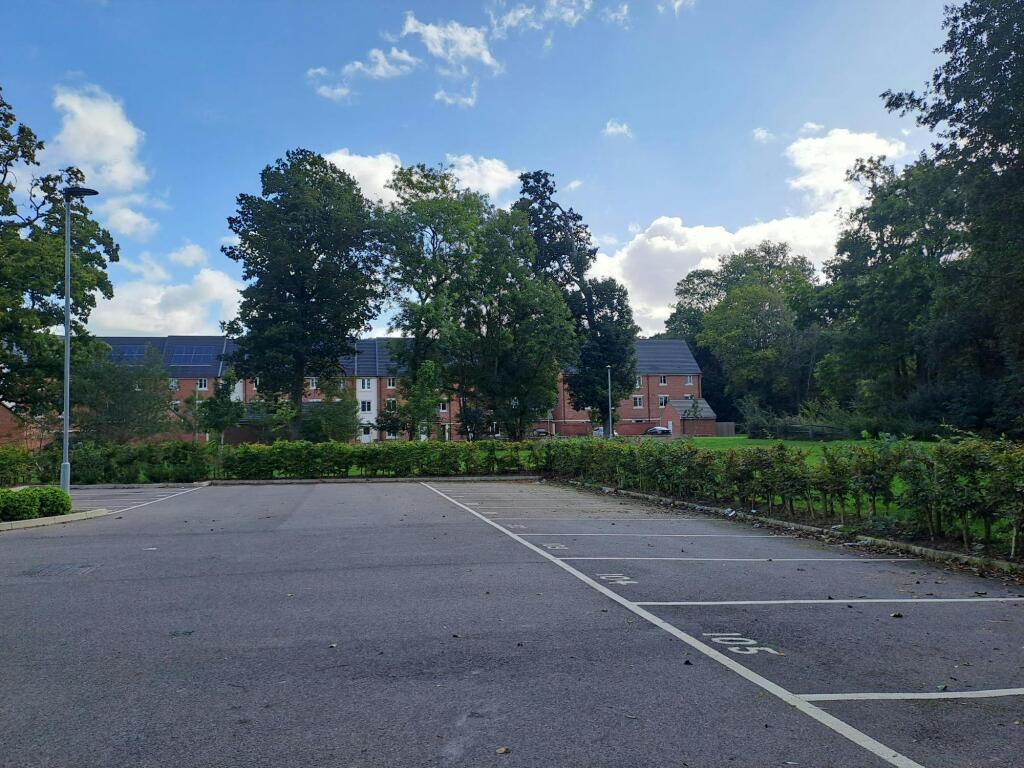 20250915_111632.jpg