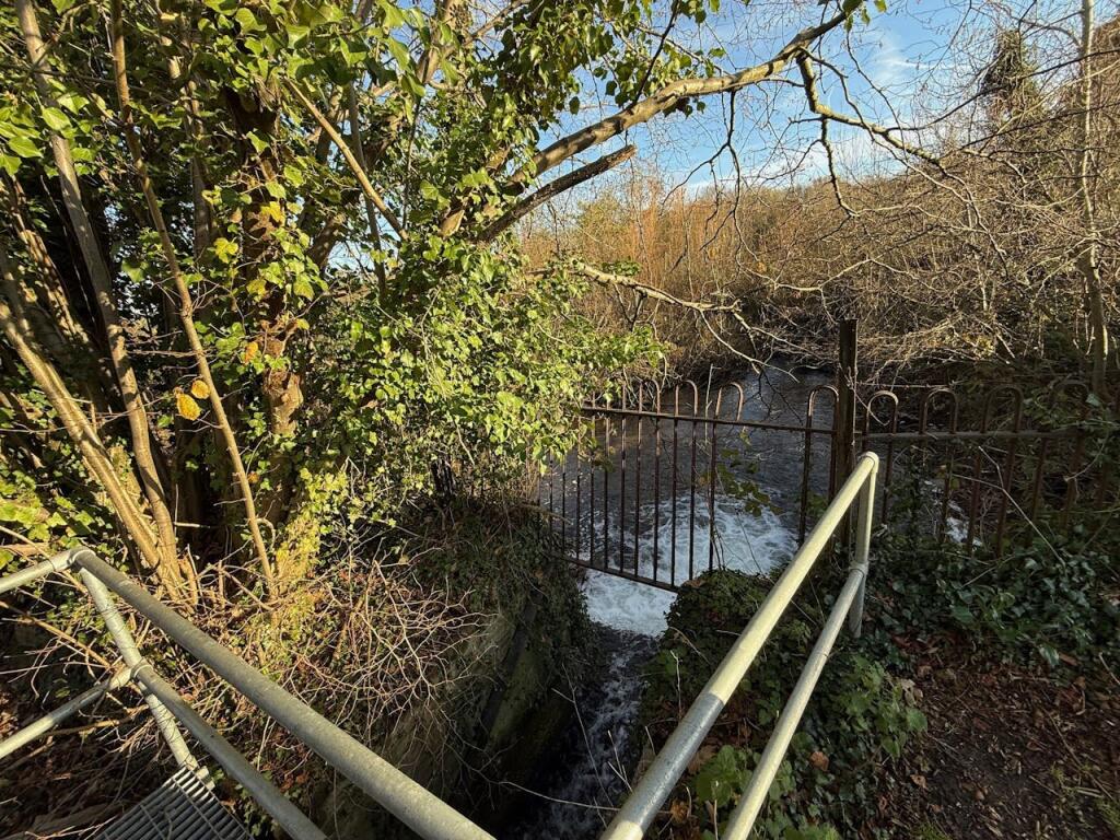 Park Mill 25.jpg