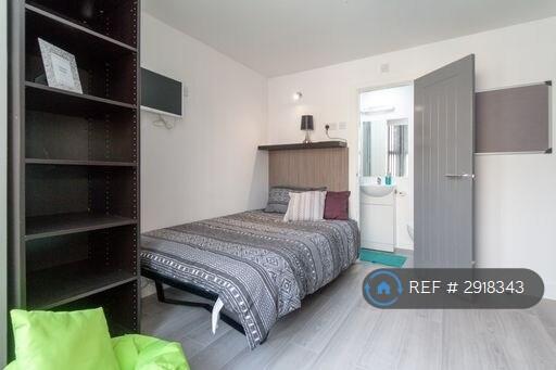 1 bedroom house share for rent