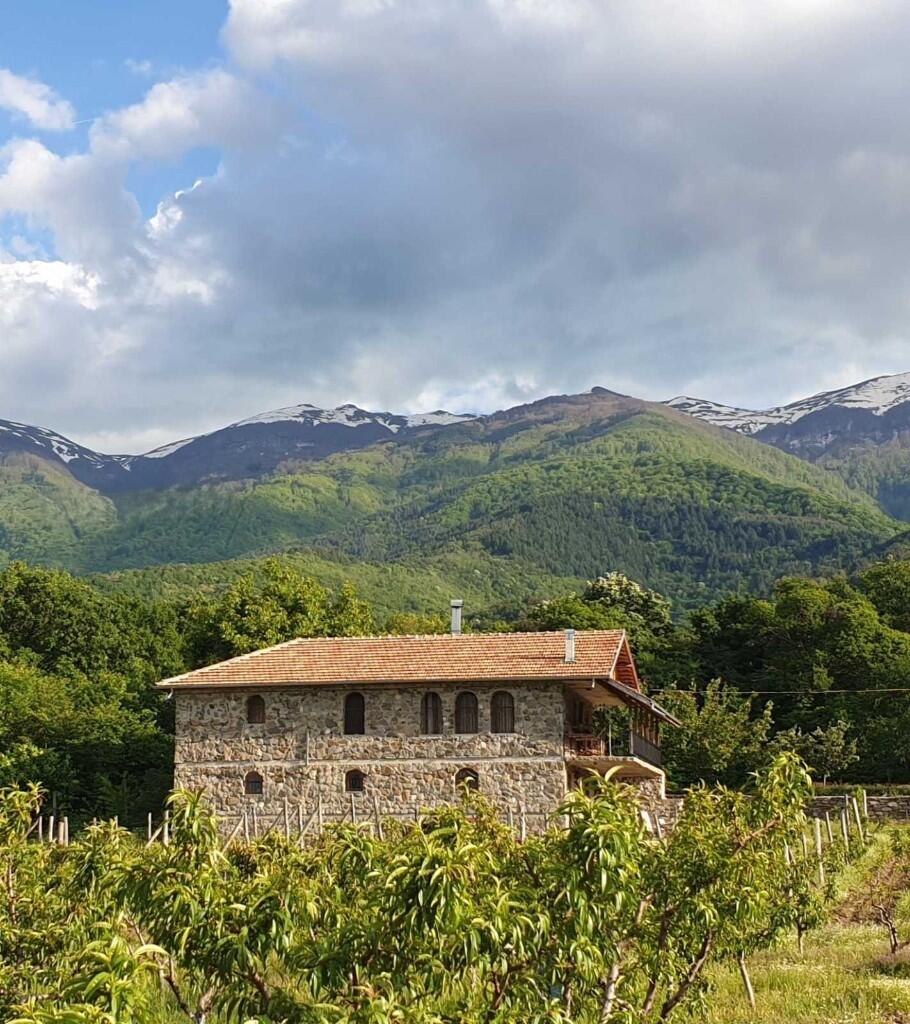 Main image of property: Purvomay, Blagoevgrad