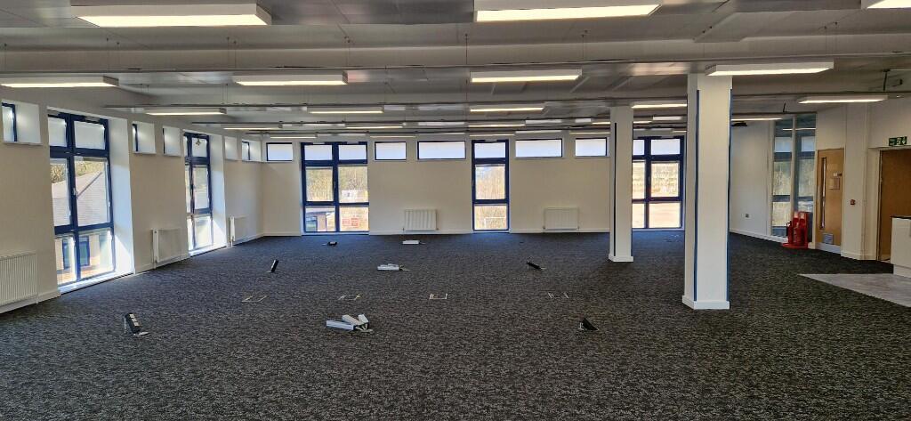 Suite 4