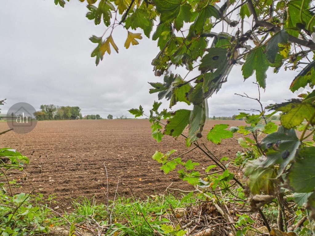 Common Road, Hopton photo 5