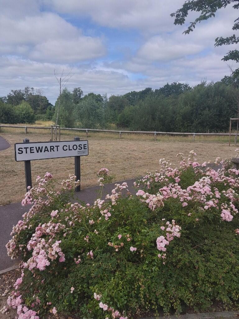 Main image of property: Stewart Close, Southampton, Hampshire, SO31