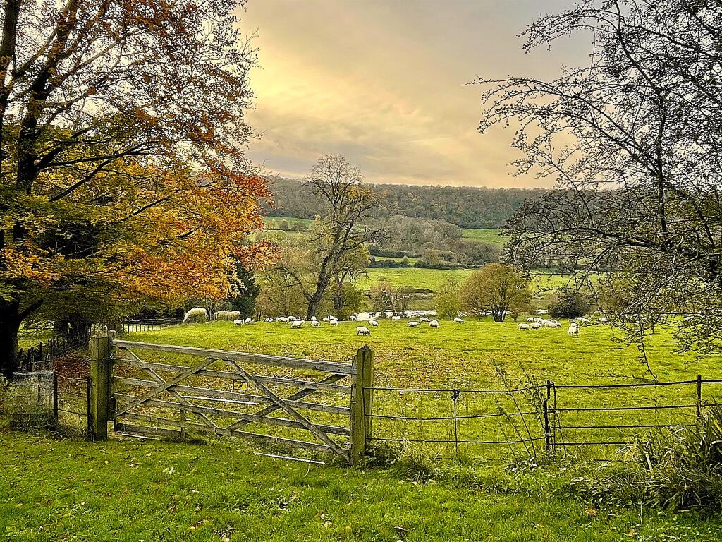 Additional image 20 of Warleigh Manor, Warleigh, Bath