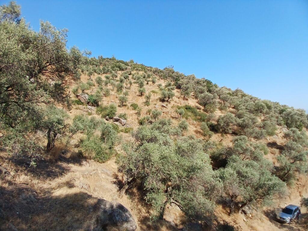 Main image of property: Izmir, Bayindir, Bayindir