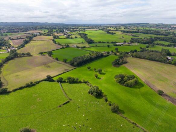 Norley Lane
