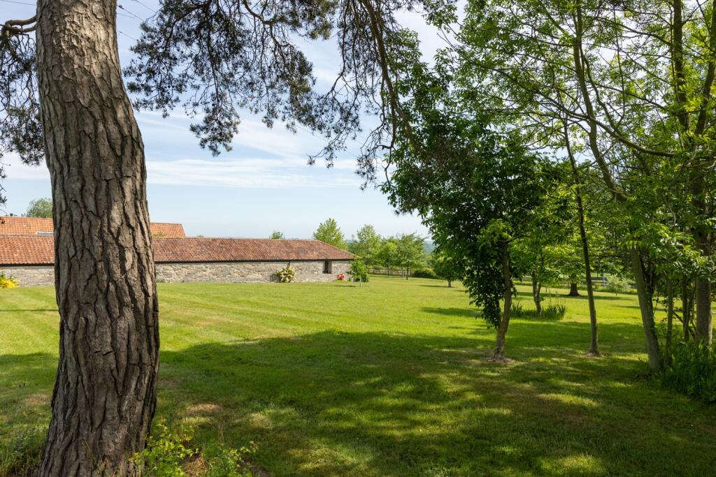 Additional image 25 of Butleigh, Glastonbury