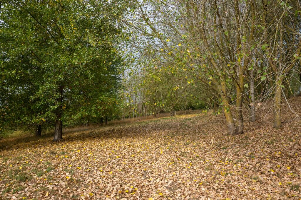 Additional image 31 of Bulls Lane, Wishaw, Sutton Coldfield, Warwickshire, B76