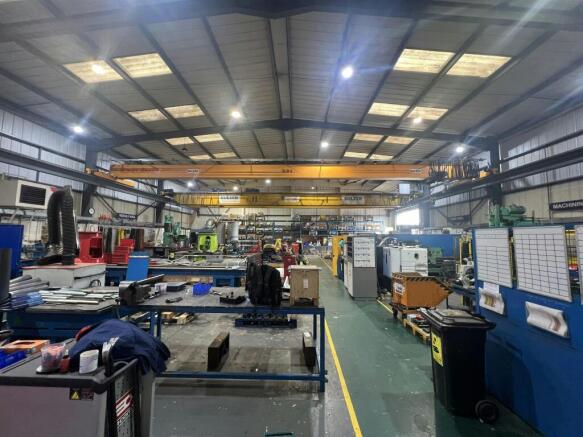IMG_6419.jpg