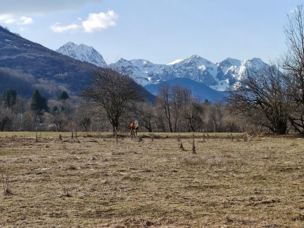 Main image of property: Kolasin
