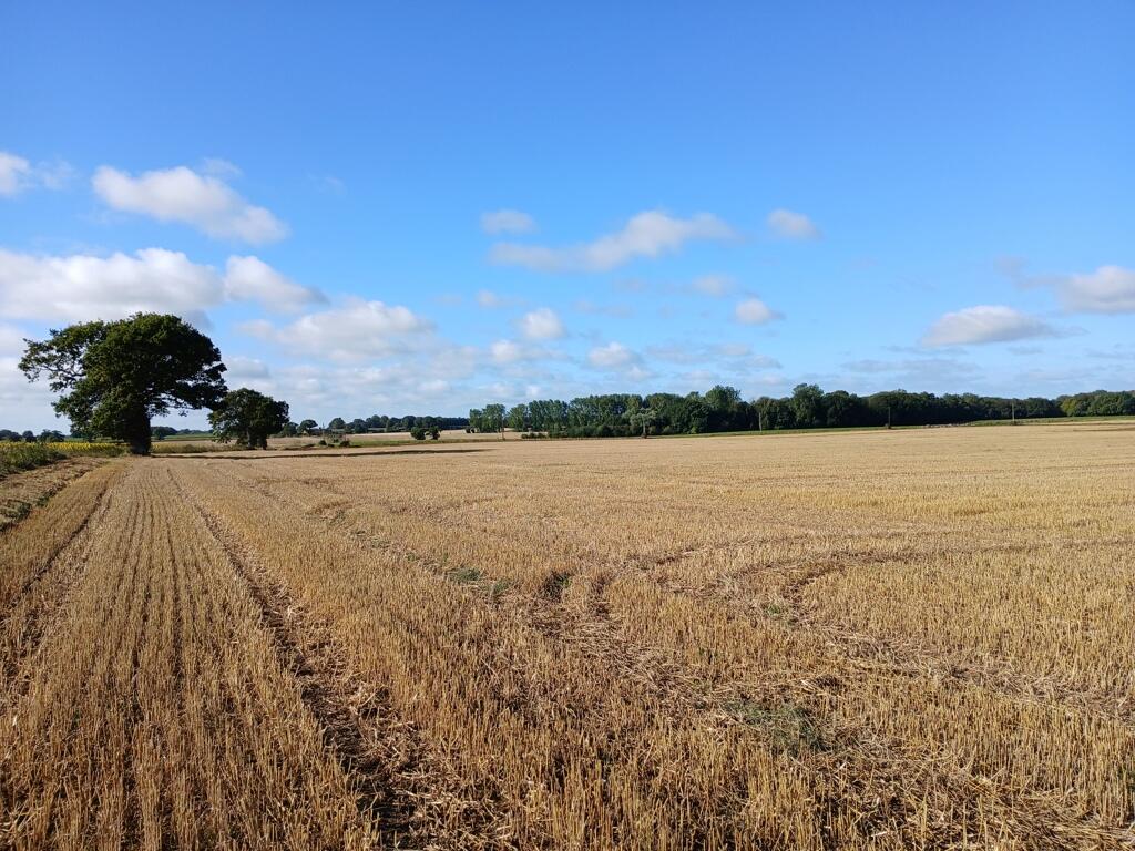 Main image of property: Arable Land, Ashby Road, Repps With Bastwick, Great Yarmouth