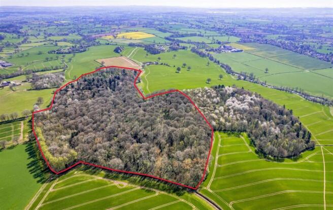 Lot 1 - Tars Wood